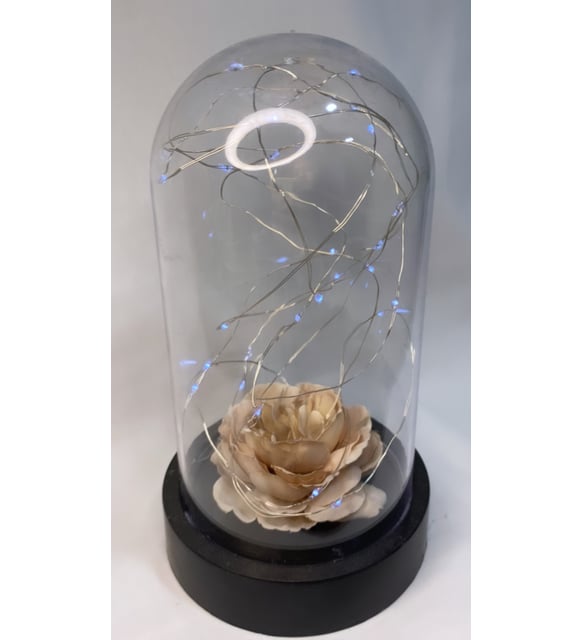 Yapay Işıklı Fanus